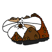 thanks & apology hamster