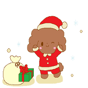 It is same as a toy poodle anytime