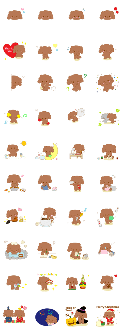 It is same as a toy poodle anytime