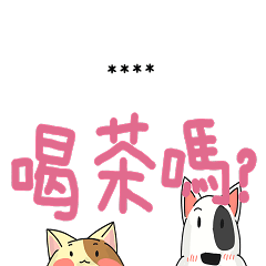 A funny dog and a funny cat 099