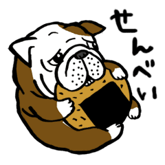 だるだるブルドッグ せんべい君 Line スタンプ Line Store だるだるブルドッグ せんべい君 Line スタンプ Line Store
