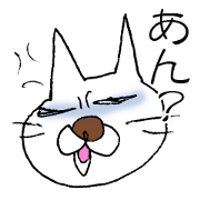 YES! white cat!