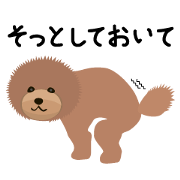 TOYDOG