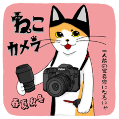 Cat kamera