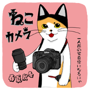 Cat Camera