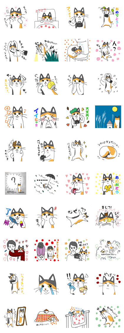 Cat Camera