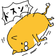 Cat of orange color