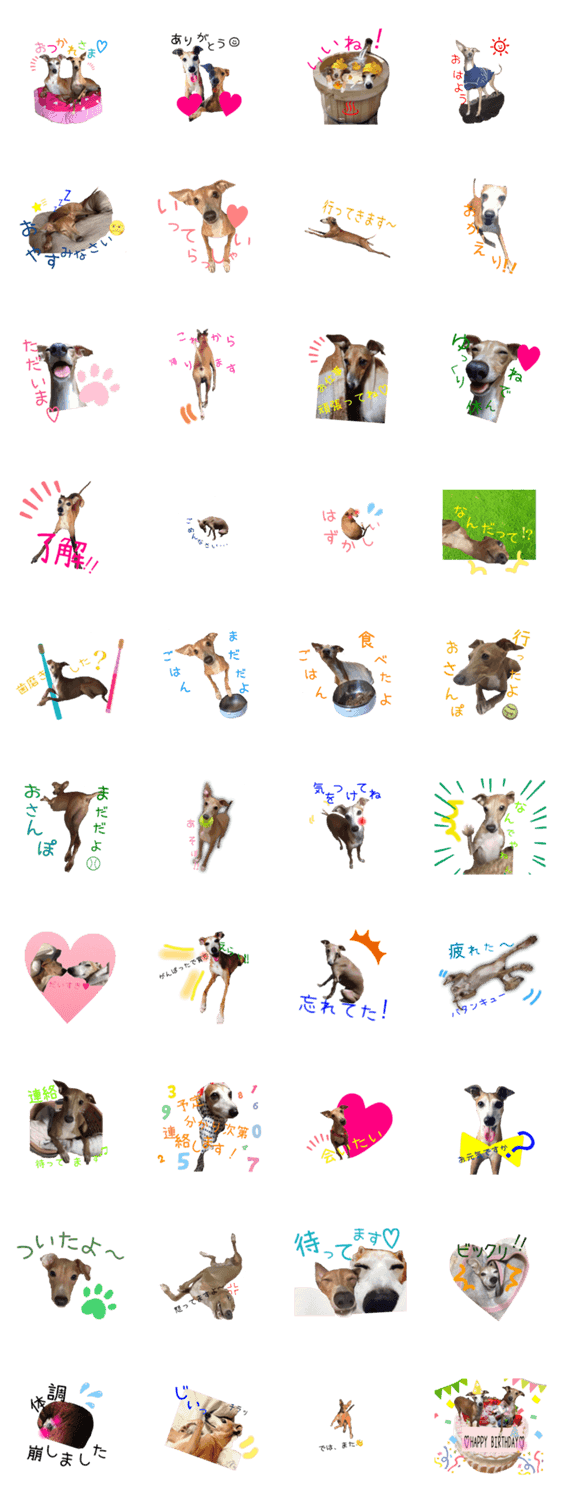 イタグレ兄弟 エースとビィッツ Lineクリエイターズスタンプ Stamplist