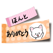 A tag cat