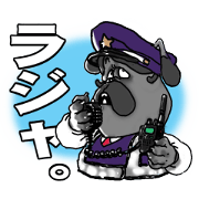 Yattaa! A cherf guard dog from Japan!