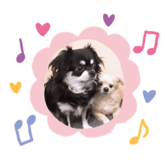 cherry_20200114174442