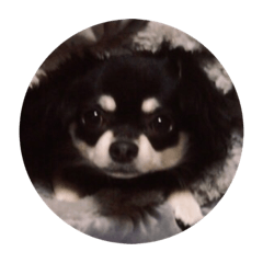 cherry_20200114181738