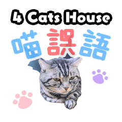 4 Cats House - Meow Talk