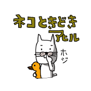 Cat sometimes chick