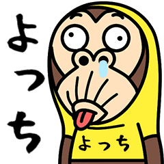 Yotchi is a Funny Monkey