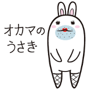 The rabbit of gay