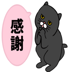 Black Cat animation Sticker2