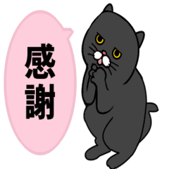 Black Cat animation Sticker2
