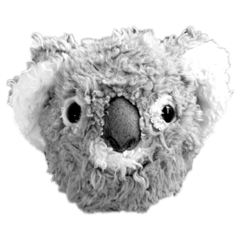 Sydney the Koala Stickers