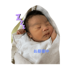 Matsu_20200114195841