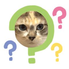 nekosanw