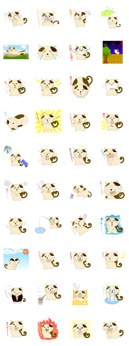 i am nyanta