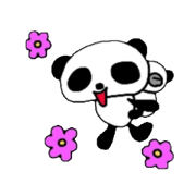 daily panda