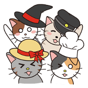 The cat covered with various hats