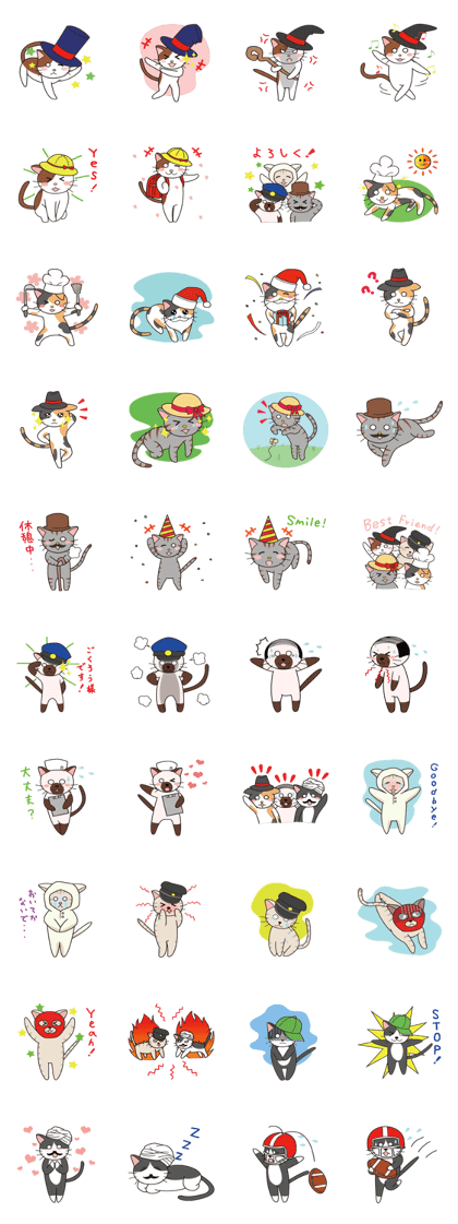 The cat covered with various hats