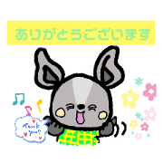 deguko_20200114204417