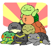 Turtle's life in English