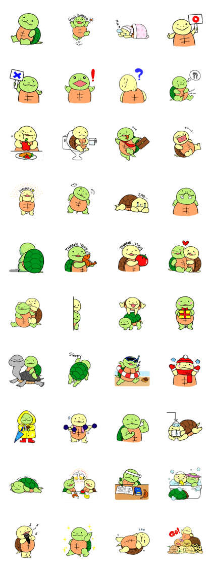 Turtle's life in English