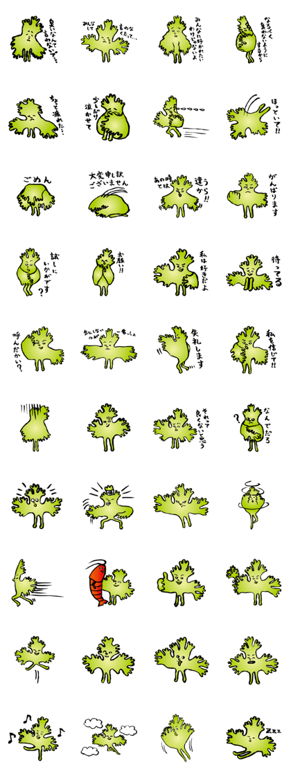 Coriander Man