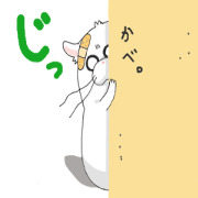 mochiko is very cute