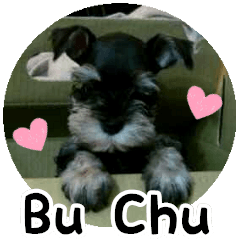 BuChu's Daily