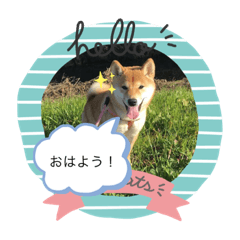 Asuka_20200114221548