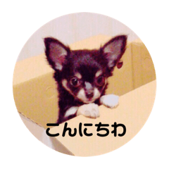 cherry_20200114214448