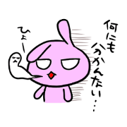 Rabbit bossy