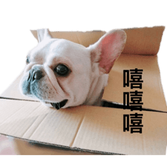 法鬥滾滾