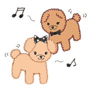 Toypoodle's happy days