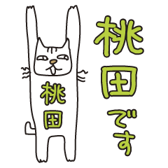 Only for Mr. Momota Banzai Cat