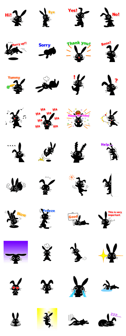 Cute Black Rabbit