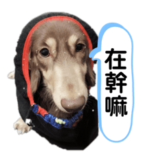米T