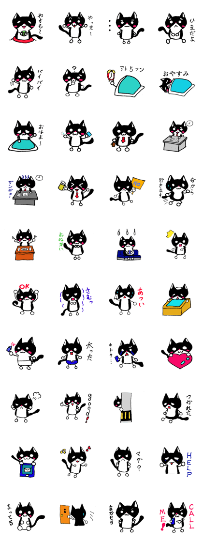 Nyansuke of the black cat