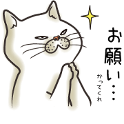 Cat Looks