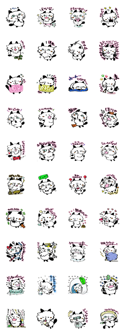 Kanazawa,Ishikawa cat Juliano 3