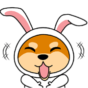 Mameshiba rabbit