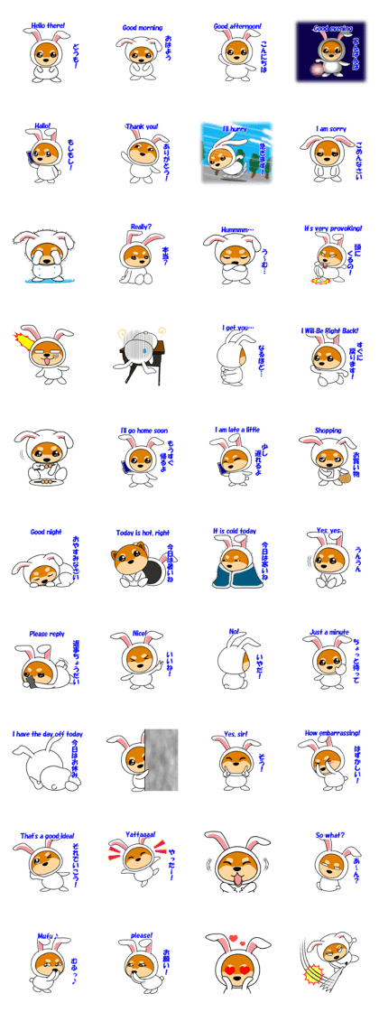 Mameshiba rabbit