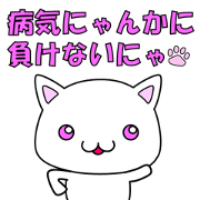 Illness cat