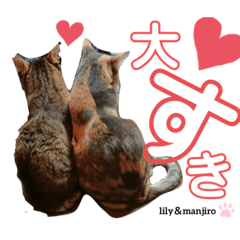 yun_20200115010600